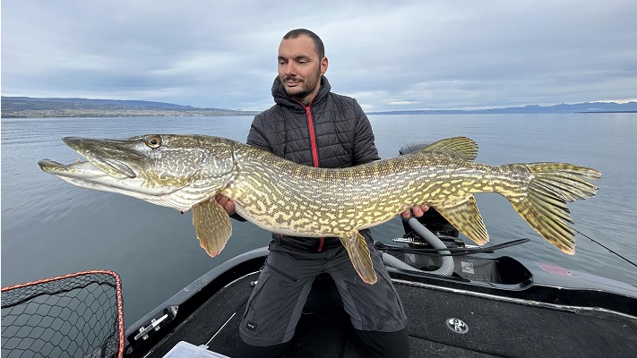 Guidage de pêche au lac Léman brochet