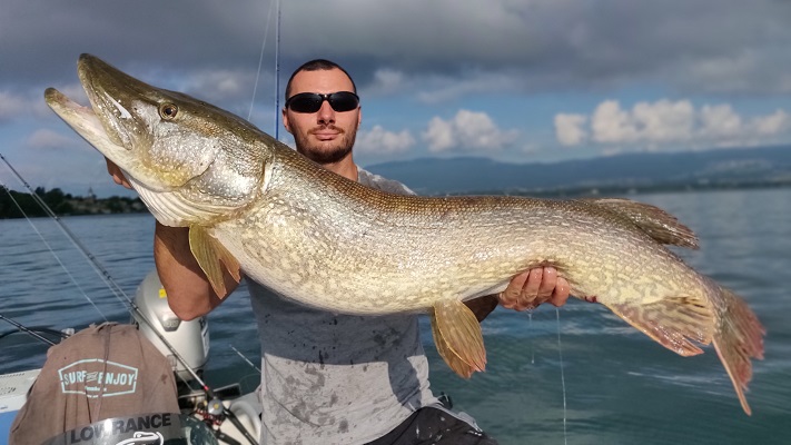 Guidage de pêche au lac Léman brochet